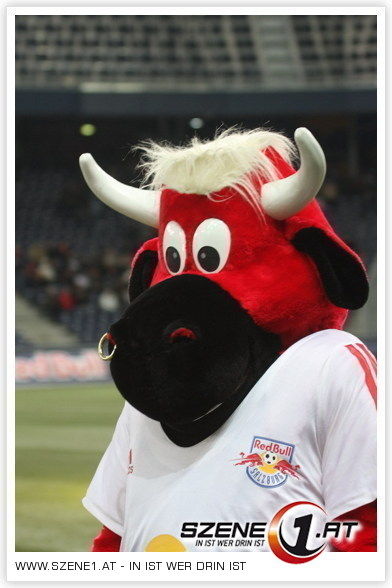 Red Bull salzburg - 