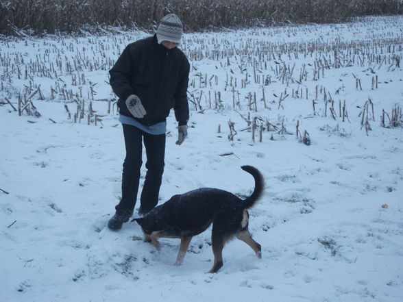 Schneegestöber - 