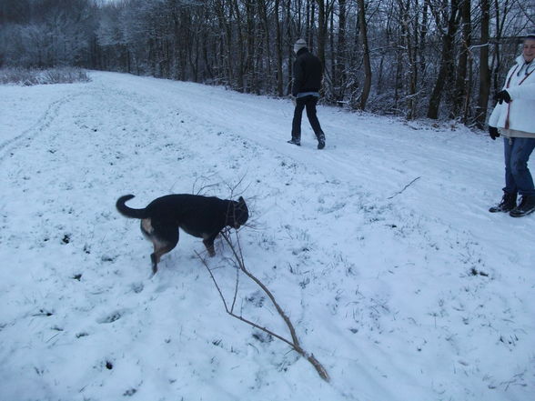 Schneegestöber - 