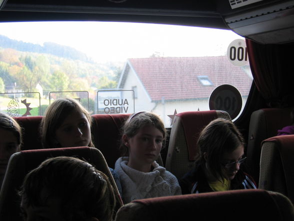 bus fahren  - 