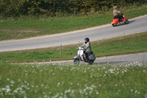 *Vespas* - 