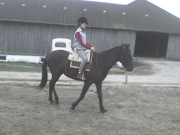 my horse - 