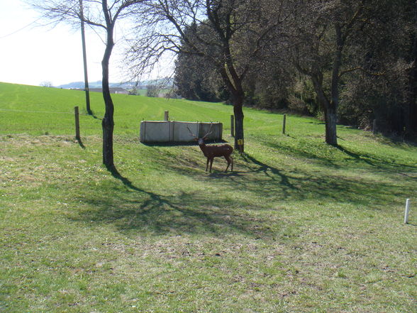 Bogenschießen im April 2009 - 