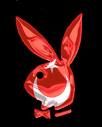 Playboy  - 