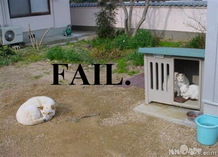 FAIL!! - 