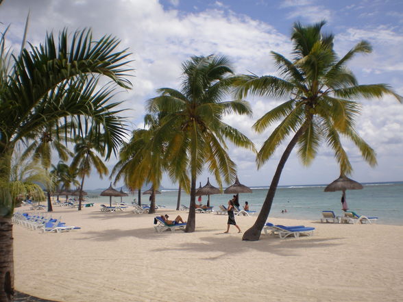 Mauritius 2009 - 