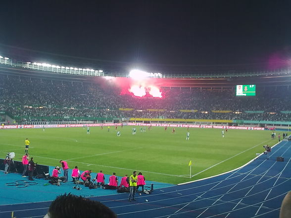 rapid wien - 