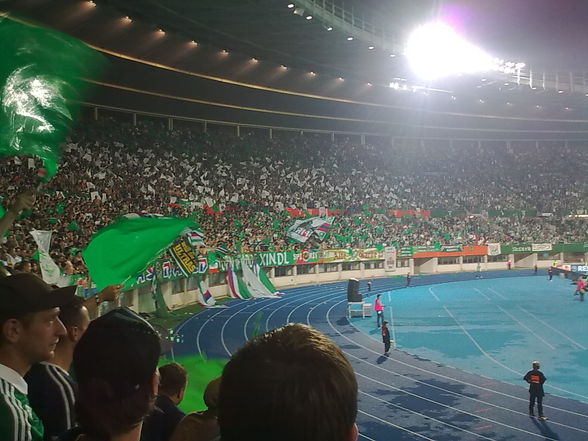 rapid wien - 