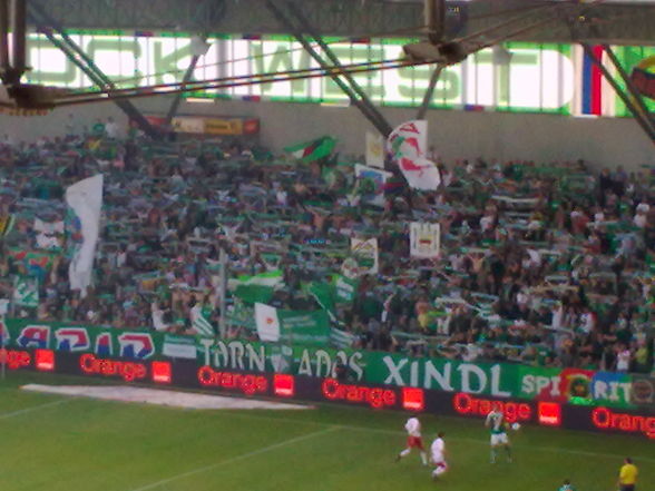 rapid wien - 