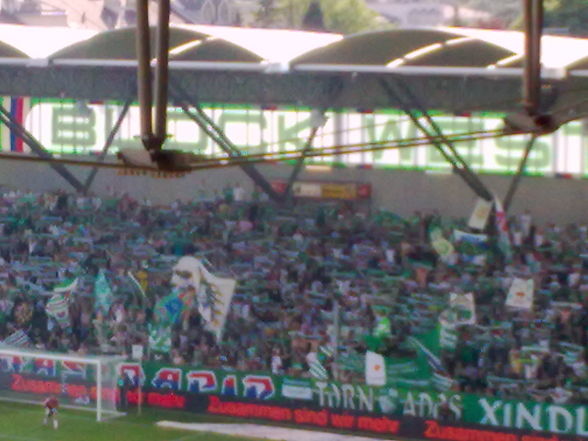 rapid wien - 