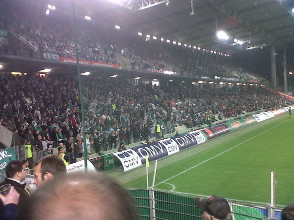 rapid wien - 