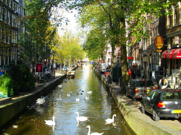 Amsterdam - 