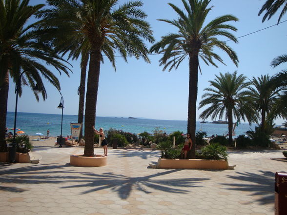 Ibiza Urlaub 2009 - 