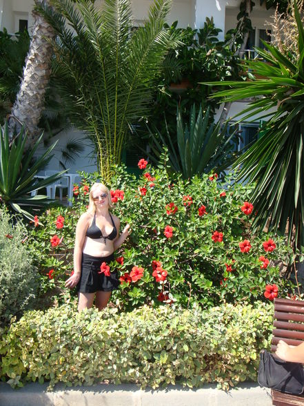 Ibiza Urlaub 2009 - 