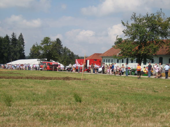 Bezirkspflügen in Laakirchen - 