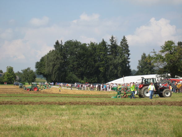 Bezirkspflügen in Laakirchen - 