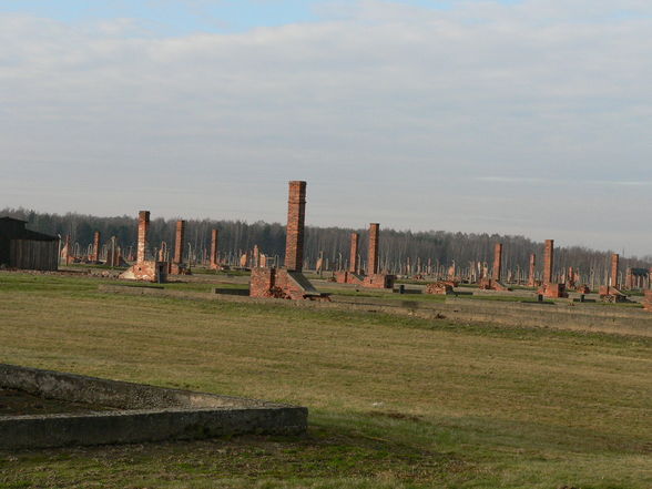 Auschnitz - Birkenau - 