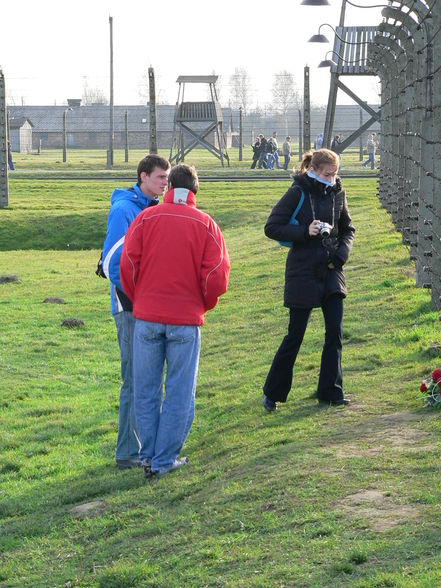 Auschnitz - Birkenau - 