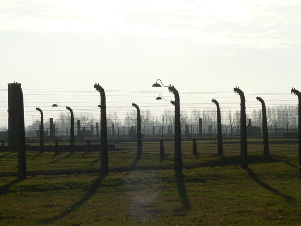 Auschnitz - Birkenau - 