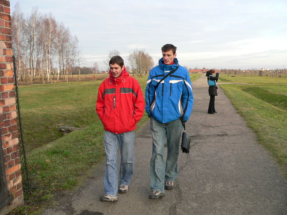 Auschnitz - Birkenau - 