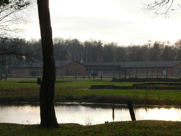 Auschnitz - Birkenau - 