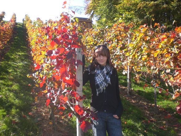 Burgenland 2008 - 