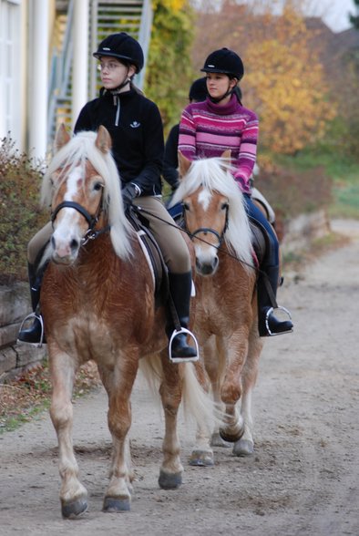 Fotos von schule und reiten - 