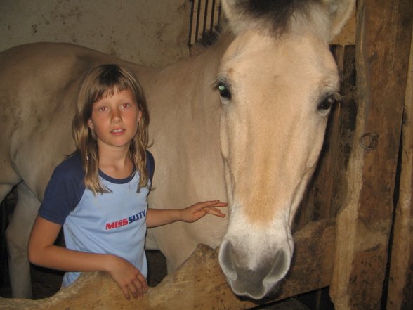 camargue Pferdal :-) - 