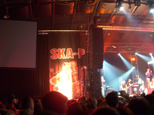 SKA-P Konzert - 11.02.2009 - 