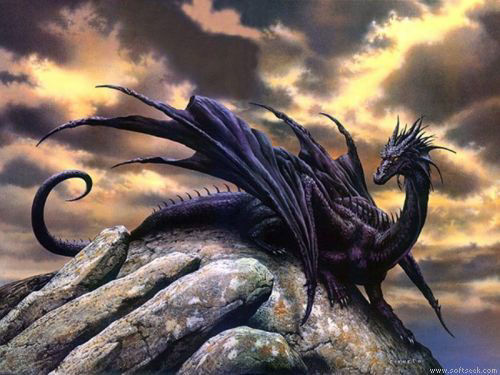 Drachen - 