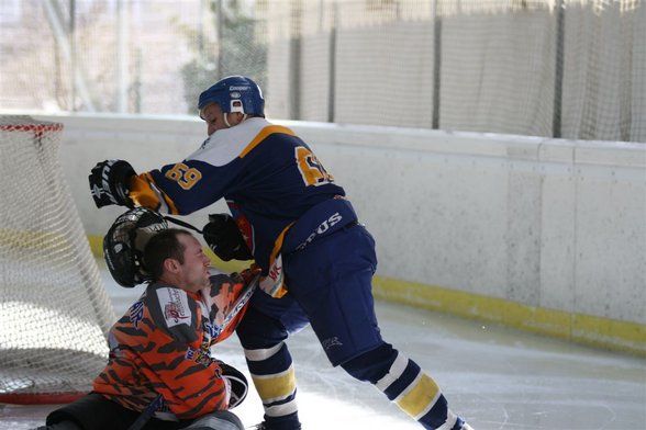 Ice-Tigers - 