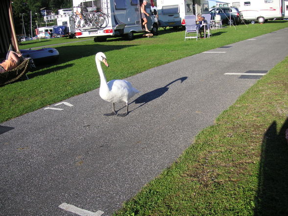 Ossiachersee 2008 - 