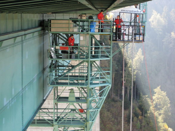 Bungy - 