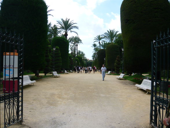 Más de Andalucía (Chipiona, Cádiz, Jerez - 