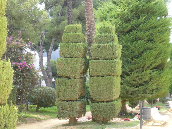 Más de Andalucía (Chipiona, Cádiz, Jerez - 