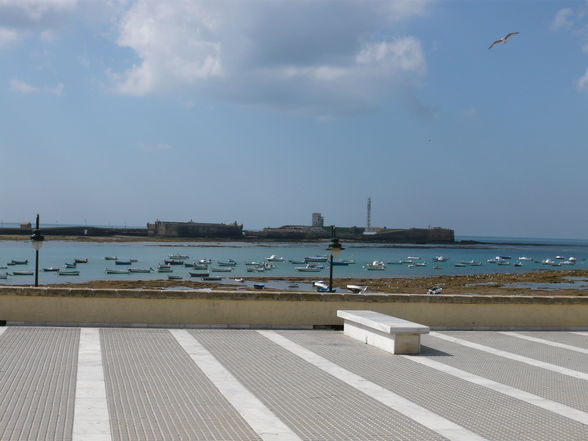 Más de Andalucía (Chipiona, Cádiz, Jerez - 