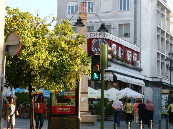 Más de Andalucía (Chipiona, Cádiz, Jerez - 