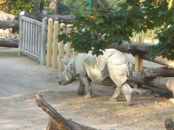 Wien - Schönbrunn - 