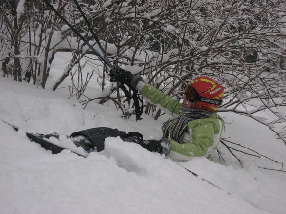 Schi fahren! - 