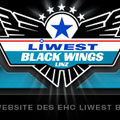 black wings - 