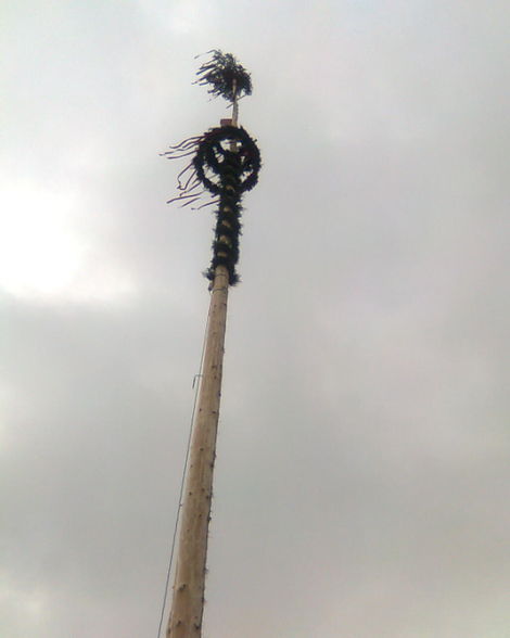 Maibaum 09 - 