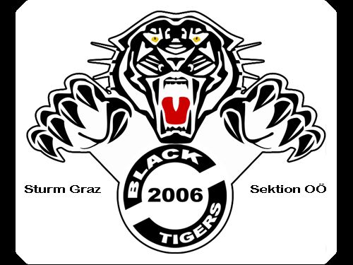 sk sturm graz - 