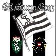 sk sturm graz - 