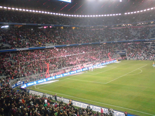 Allianz Arena - 