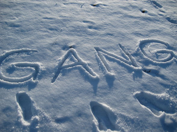 schön im schnee. ? - 