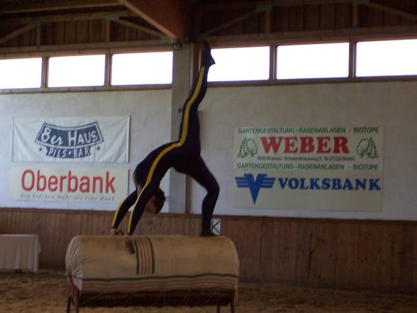 Training.....Turniere.....und Show's - 