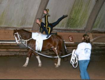 Training.....Turniere.....und Show's - 