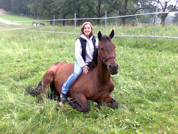 me horse ! ! ! - 