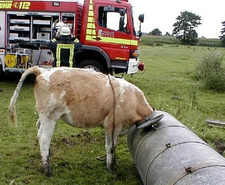 Wir sind alle bei der Feuerwehr!!! - 