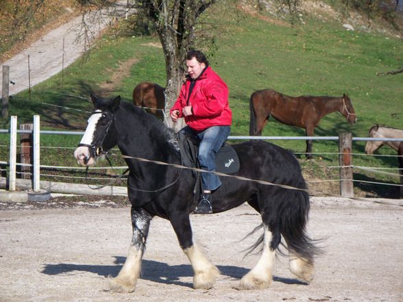 meine besten freundinnen/freunde - 